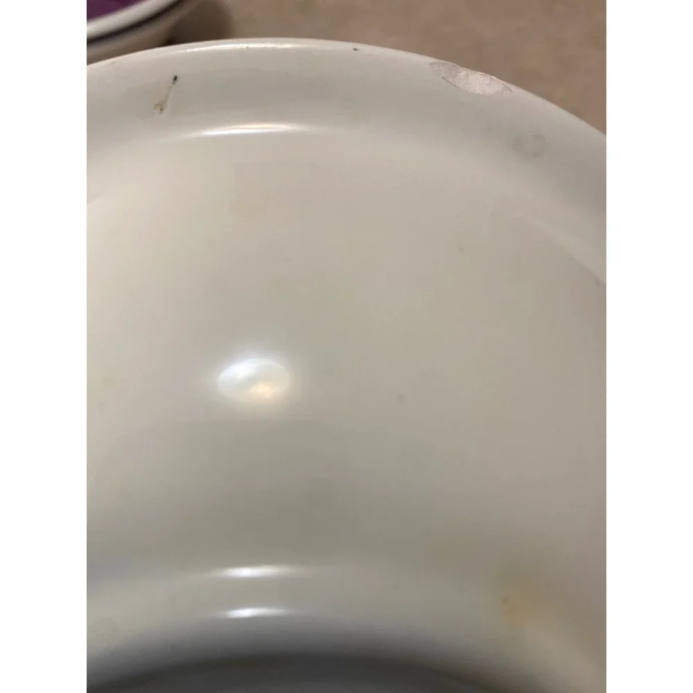 Furio Italy Hand Painted Ceramic Pasta Bowls Set of 4 Blue Purple Green 8.5
